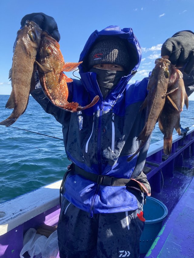 カサゴ・メバル