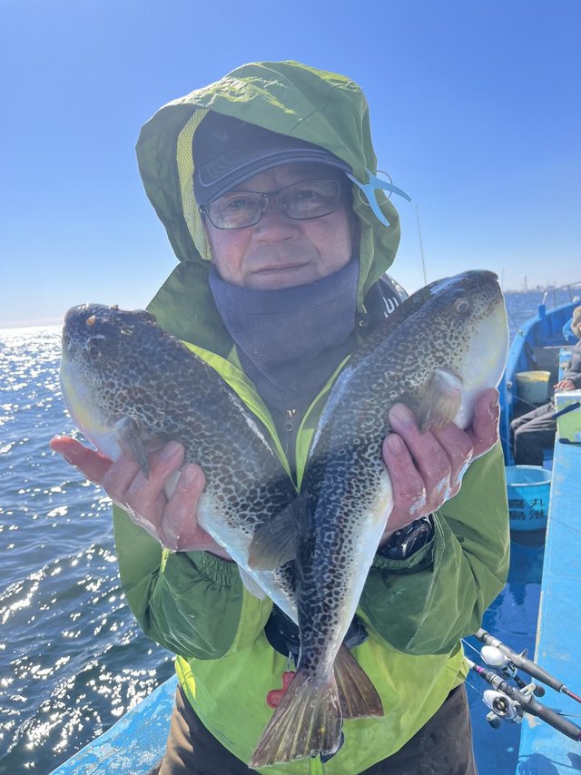 ショウサイフグ