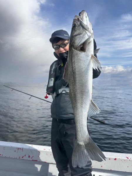 シーバス(スズキ)