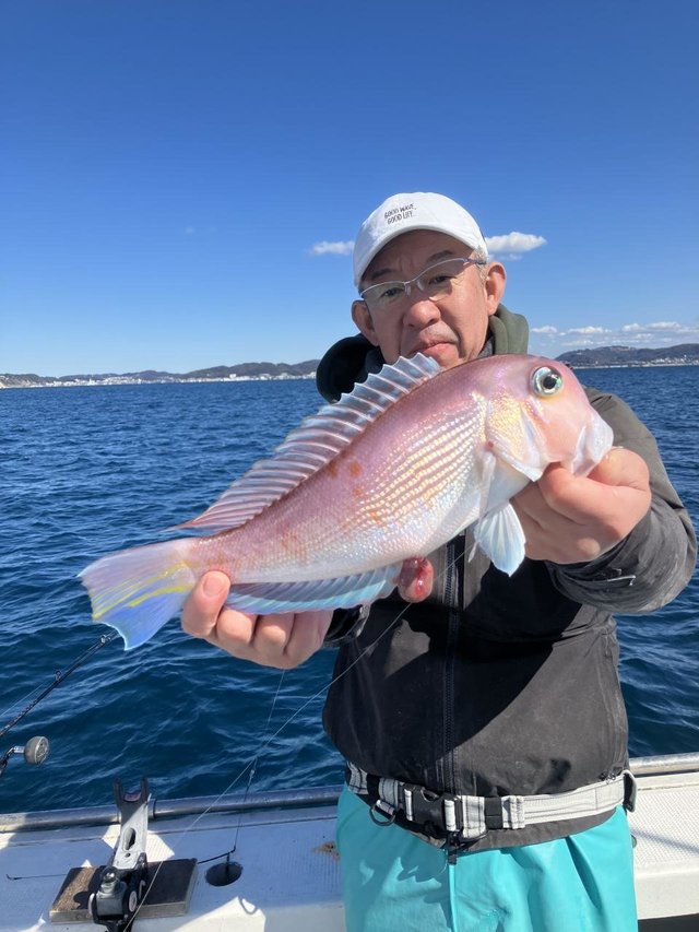 アマダイ(アカアマダイ)