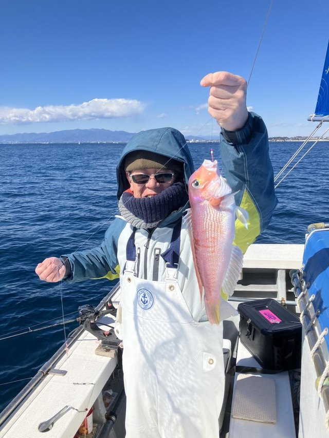 アマダイ(アカアマダイ)