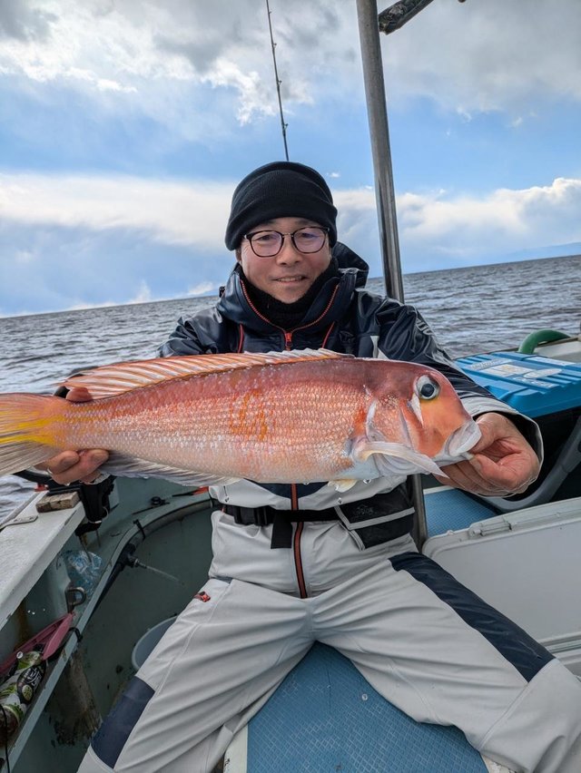 アマダイ(アカアマダイ)