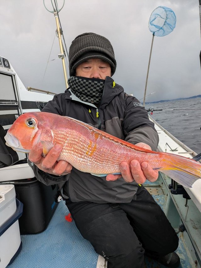 アマダイ(アカアマダイ)