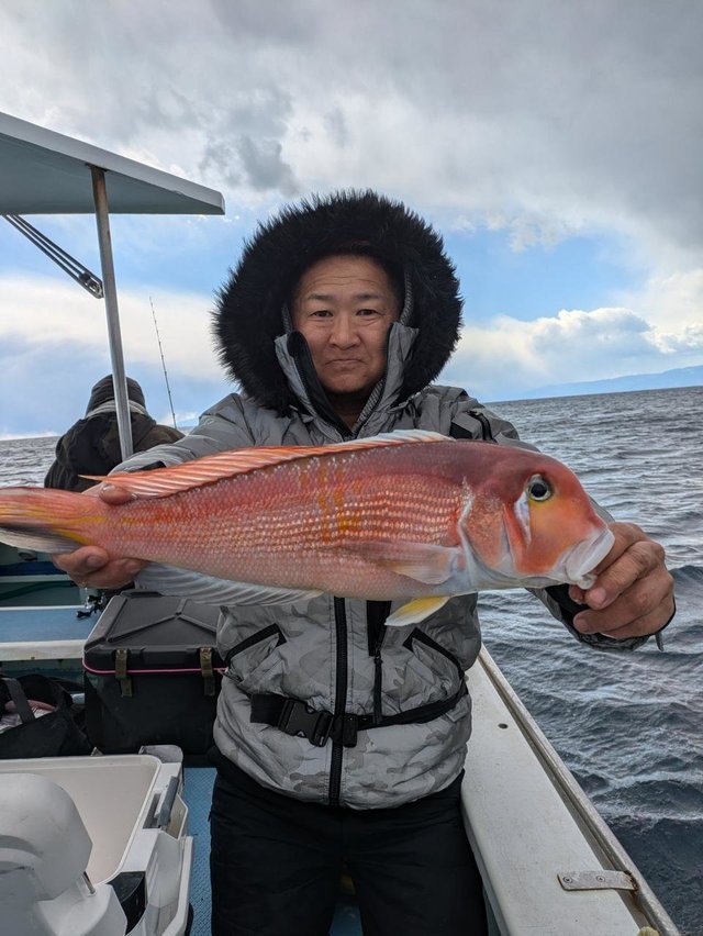 アマダイ(アカアマダイ)