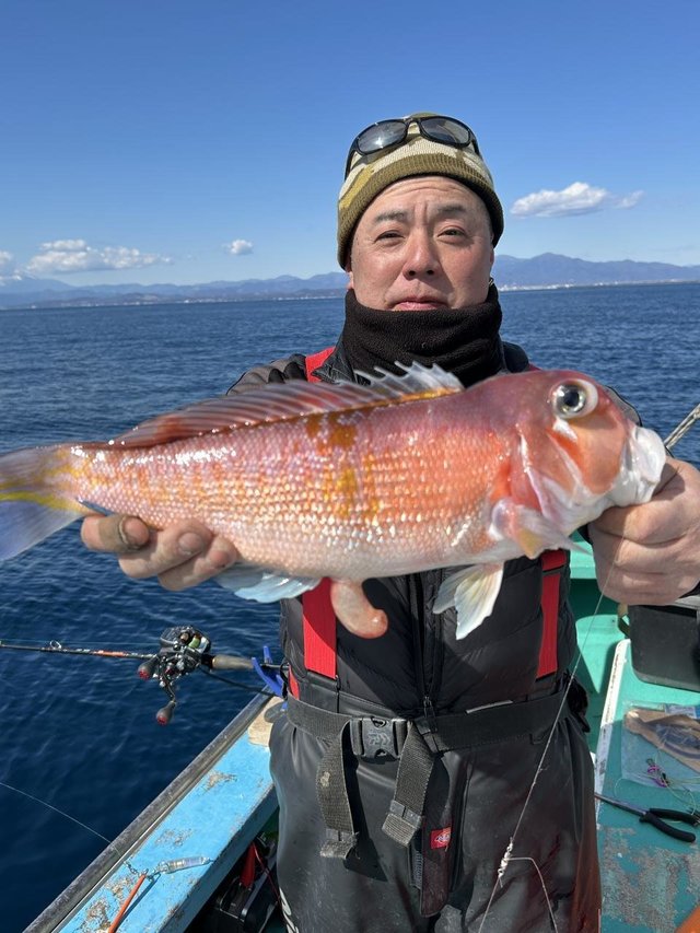 アマダイ(アカアマダイ)