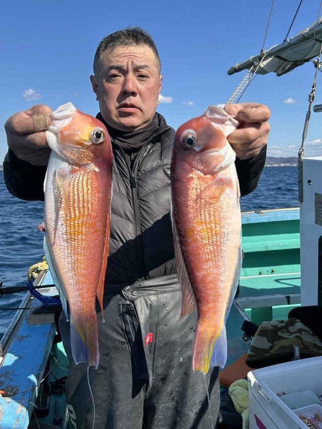 アマダイ(アカアマダイ)