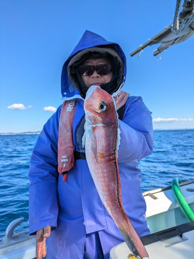 アマダイ(アカアマダイ)