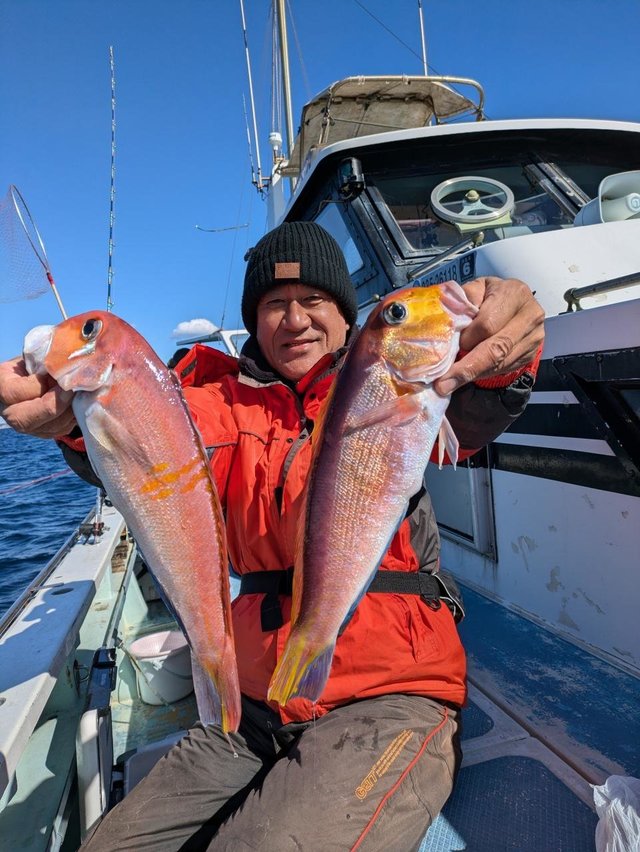 アマダイ(アカアマダイ)