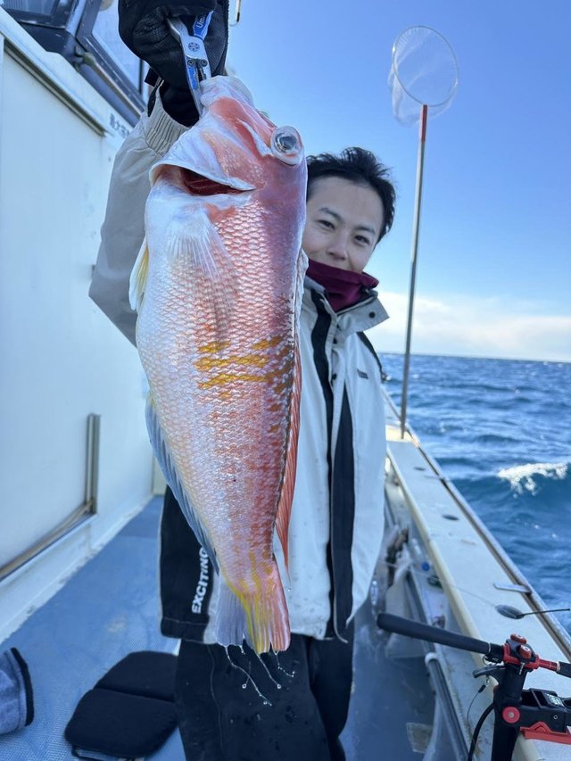 アマダイ(アカアマダイ)