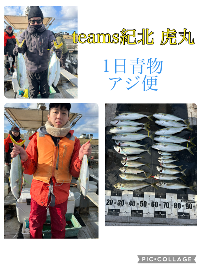 アジ(マアジ)・ハマチ(ブリ)・サバ(マサバ)