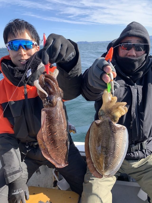 モンゴウ(カミナリイカ)