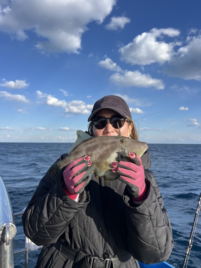 ウマズラハギ(ウマヅラハギ)