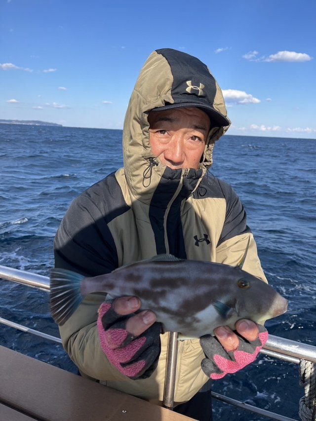 ウマズラハギ(ウマヅラハギ)