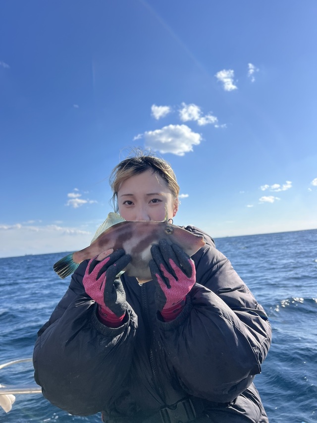 ウマズラハギ(ウマヅラハギ)