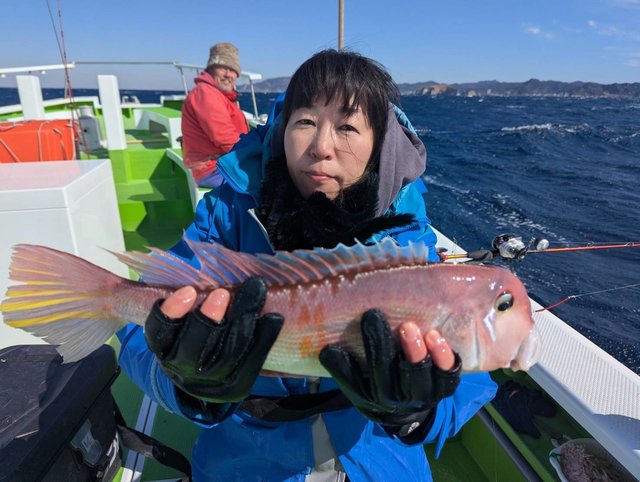 アマダイ(アカアマダイ)