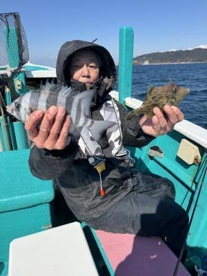 イシダイ・カワハギ