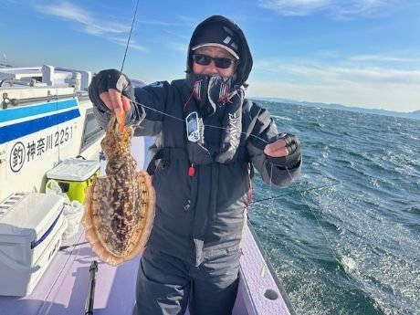 スミイカ(コウイカ)