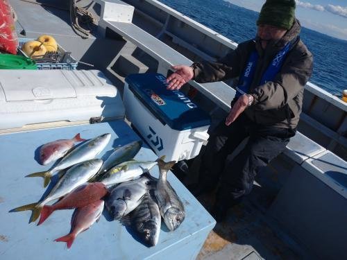 マダイ・クロダイ・イナダ(ブリ)・ワラサ(ブリ)