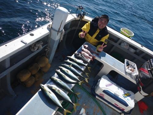 マダイ・クロダイ・イナダ(ブリ)・ワラサ(ブリ)