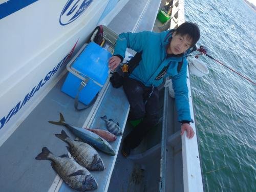 マダイ・クロダイ・イシダイ・イナダ(ブリ)