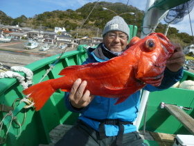 ベニアコウ(オオサガ)