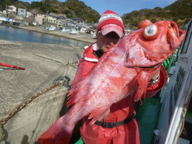 ベニアコウ(オオサガ)