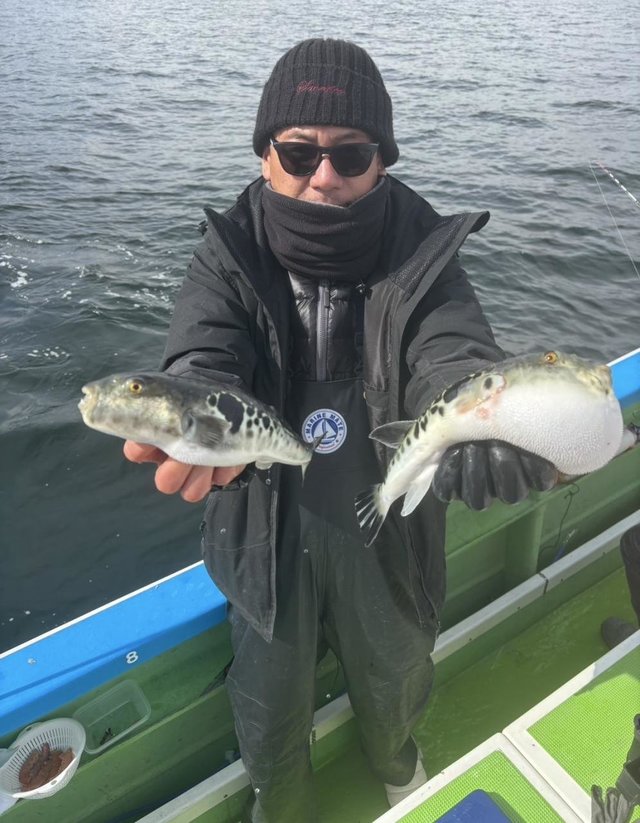 フグ(トラフグ)