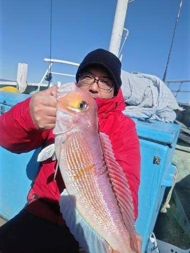 アマダイ(アカアマダイ)