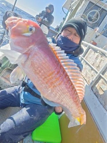 アマダイ(アカアマダイ)