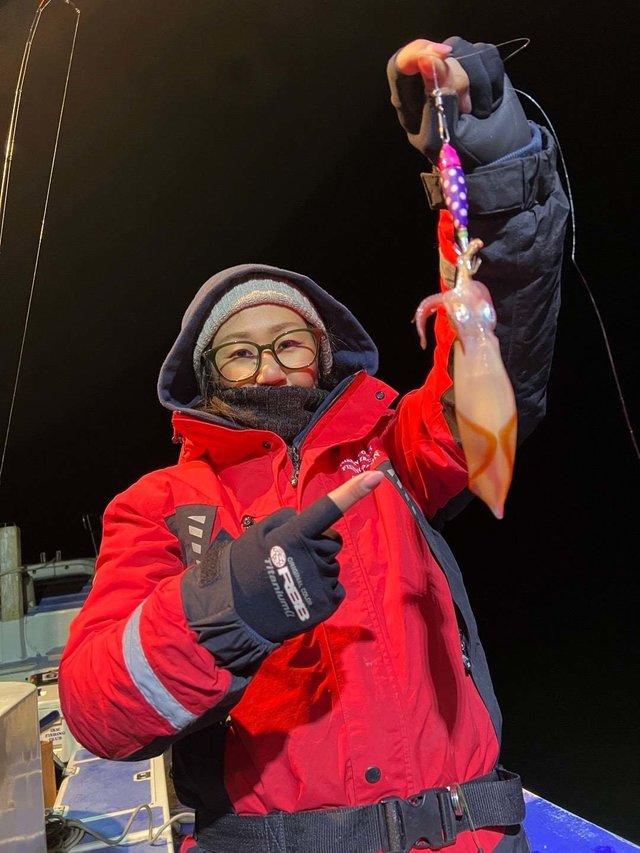 マルイカ(ケンサキイカ)