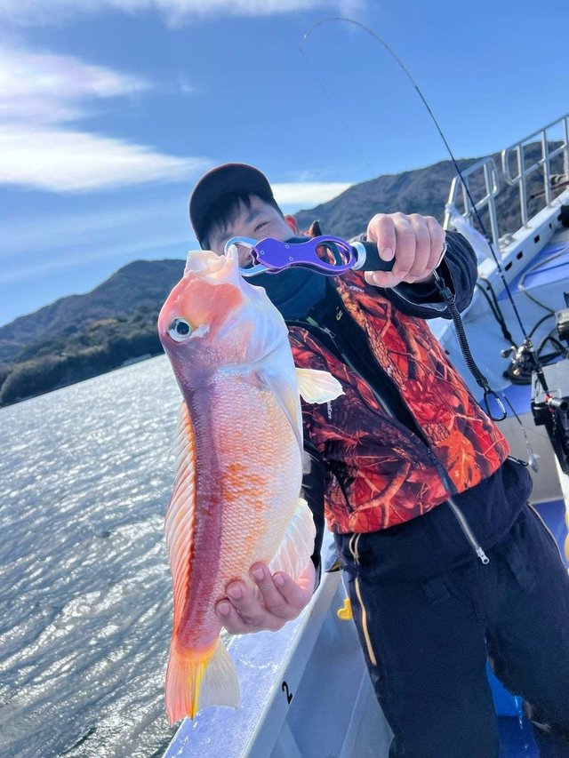 アマダイ(アカアマダイ)