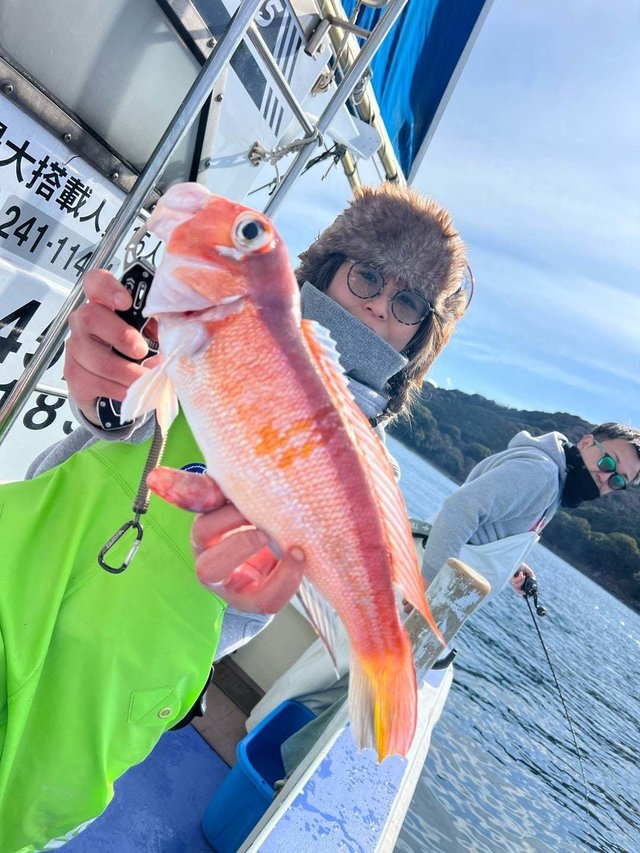 アマダイ(アカアマダイ)