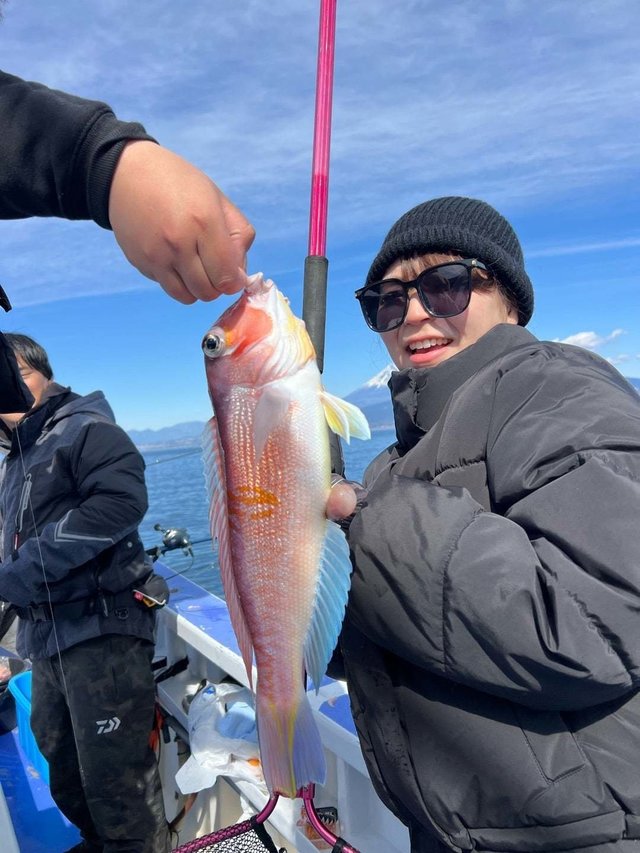 アマダイ(アカアマダイ)