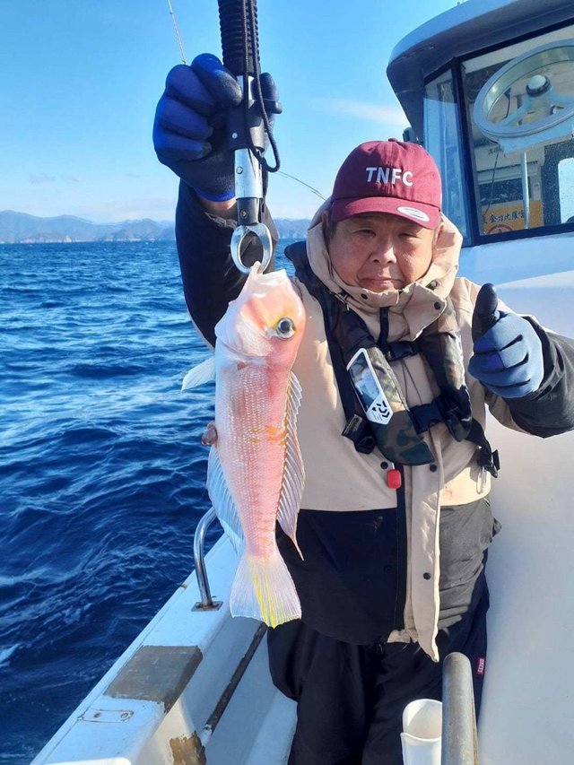 アマダイ(アカアマダイ)