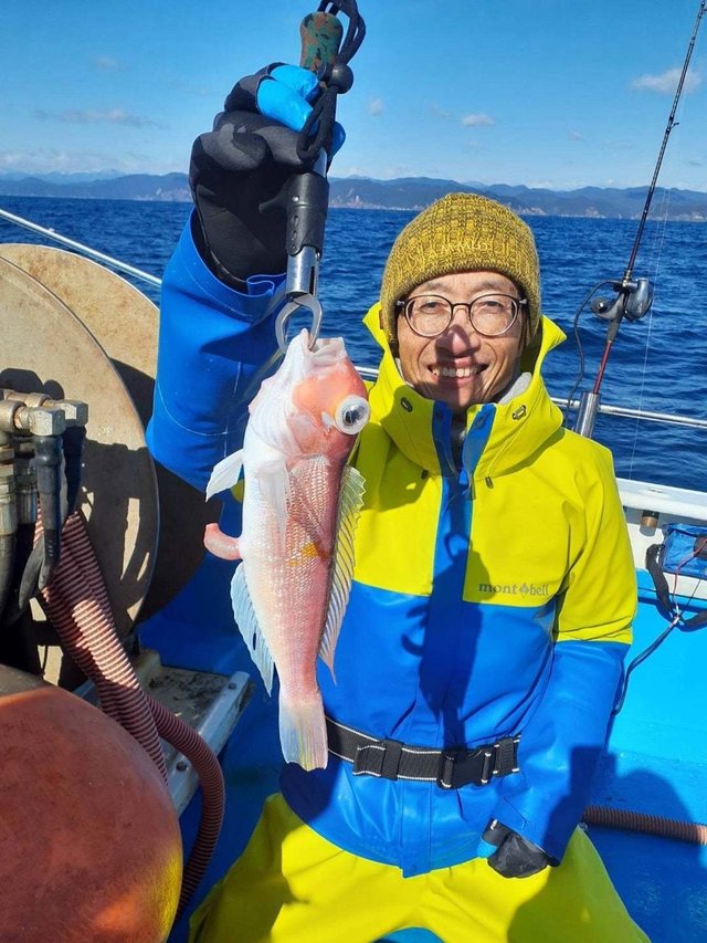 アマダイ(アカアマダイ)