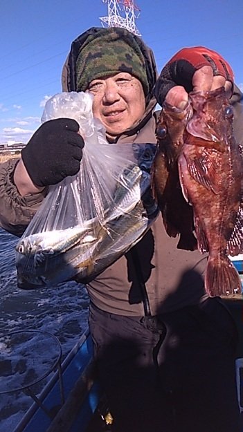 アジ(マアジ)・カサゴ