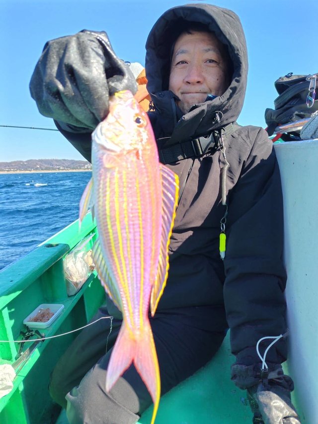 イトヨリ(イトヨリダイ)