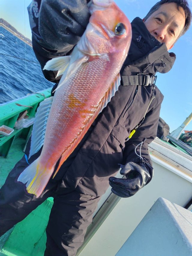 アマダイ(アカアマダイ)