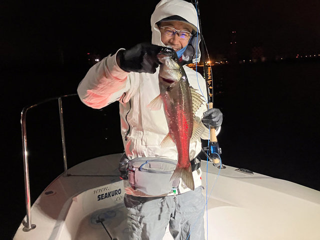 シーバス(スズキ)