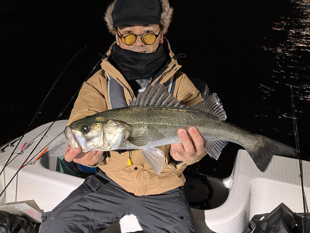 シーバス(スズキ)