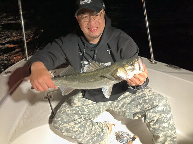 シーバス(スズキ)