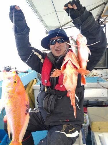 アカイサキ・アラカブ(カサゴ)