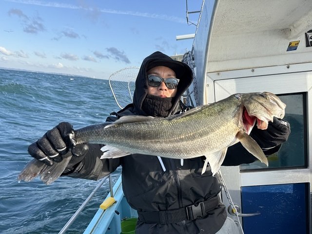 シーバス(スズキ)