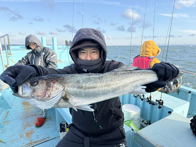 シーバス(スズキ)