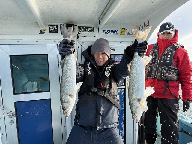 シーバス(スズキ)