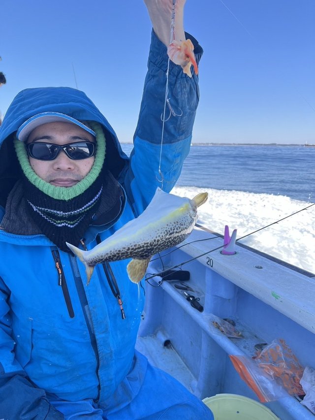 ショウサイフグ