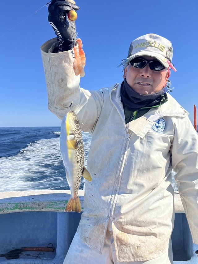 ショウサイフグ