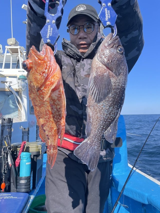 マゾイ(キツネメバル)