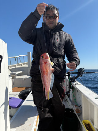 アマダイ(アカアマダイ)