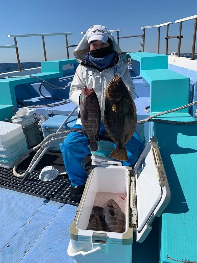 マハタ・ヒラメ